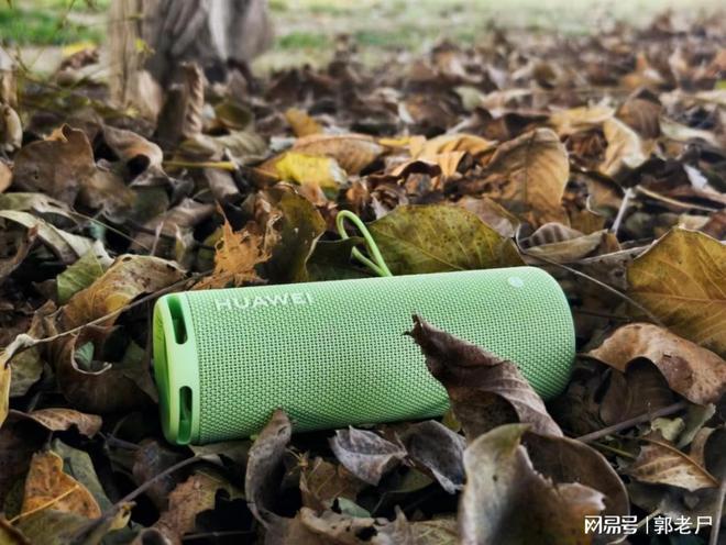 WEI Sound Joy 2去拥抱自然凯发k8登录双11户外音箱推荐带HUA(图2)