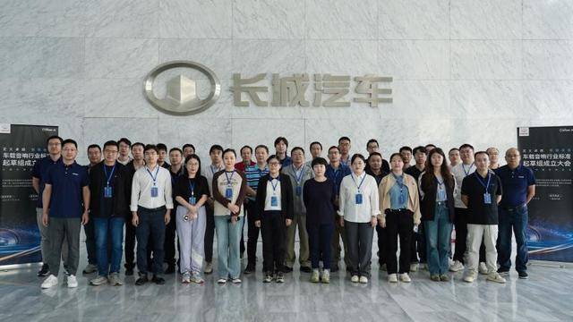 载音响标准化持续迭代用户体验凯发K8登录长城汽车推动车